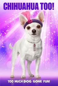 چی‌واوا ۲! (Chihuahua Too!)