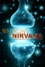 از نورون‌ها تا نیروانا (Neurons to Nirvana)