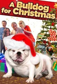 یک بولداگ برای کریسمس (A Bulldog for Christmas)