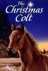 ‌اسب کریسمس (The Christmas Colt)