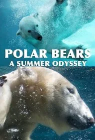خرس‌های قطبی: سفر حماسی تابستانی (Polar Bears: A Summer Odyssey)