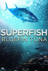 ابرماهی: ماهی تن باله آبی (Superfish: Bluefin Tuna)