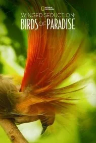 وسوسه بالدار: پرندگان بهشتی (Winged Seduction: Birds of Paradise)
