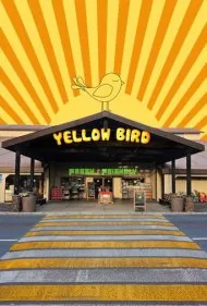 پرنده زرد (Yellow Bird)