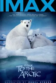 به سوی قطب شمال (To the Arctic 3D)