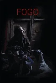 فوگو (Fogo)