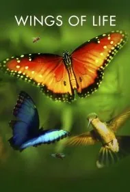 بال‌های زندگی (Wings of Life)