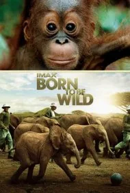 زاده شده برای وحشی بودن (Born to Be Wild)