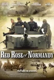رز سرخ نرماندی (Red Rose of Normandy)