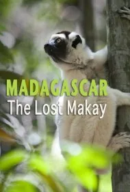 ماداگاسکار: ماکای گمشده (Madagascar: The Lost Makay)