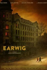 گوش‌ خیزک (Earwig)