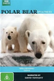 خرس قطبی: جاسوسی روی یخ (Polar Bear: Spy on the Ice)