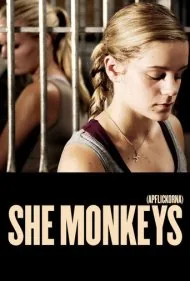 میمون‌های ماده (She Monkeys)