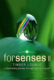 حواس پنج‌گانه ۲: سالن چوبی (Forsenses II: Timber Lounge)