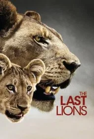 آخرین شیرها (The Last Lions)