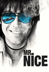 آقای نایس (Mr. Nice)