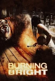 نور سوزان (Burning Bright)