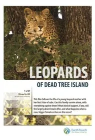 پلنگ‌های جزیره درخت مرده (Leopards of Dead Tree Island)
