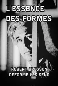 جوهر فرم‌ها (The Essence of Forms)