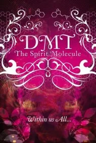 دی‌ام‌تی: مولکول روح (DMT: The Spirit Molecule)