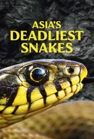 مرگبارترین مارهای آسیا (Asia's Deadliest Snakes)