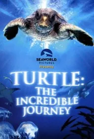 لاک‌پشت: سفر شگفت‌انگیز (Turtle: The Incredible Journey)