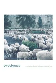 علفزار (Sweetgrass)