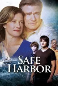 بندرگاه امن (Safe Harbor)