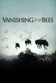 ناپدید شدن زنبورها (Vanishing of the Bees)