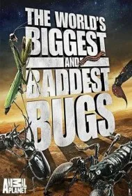 بزرگ‌ترین و بدترین حشرات جهان (The World's Biggest and Baddest Bugs)