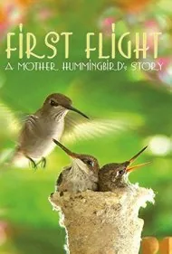اولین پرواز: داستان یک مادر مرغ مگس‌خوار (First Flight: A Mother Hummingbird's Story)