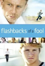خاطرات یک احمق (Flashbacks of a Fool)