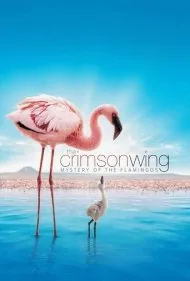 بال‌های سرخ: راز فلامینگوها (The Crimson Wing: Mystery of the Flamingos)