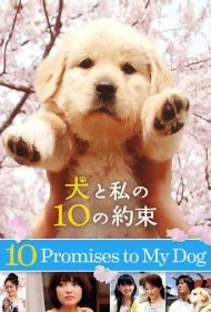 ۱۰ پیمان با سگم (10 Promises to My Dog)