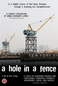 سوراخی در حصار (A Hole in a Fence)