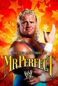زندگی و روزگار آقای کامل (The Life and Times of Mr. Perfect)
