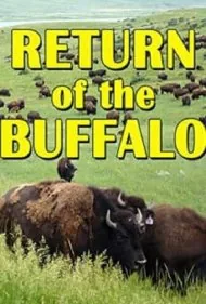 بازگشت بوفالو: احیای دشت بزرگ آمریکا (The Return of the Buffalo: Restoring the Great American Prairie)