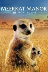 قلمرو دم‌عصایی‌ها: داستان آغاز می‌شود (Meerkat Manor: The Story Begins)