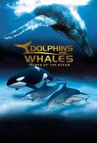 دلفین‌ها و نهنگ‌های آی‌مکس: قبایل اقیانوس (IMAX Dolphins and Whales: Tribes of the Ocean)