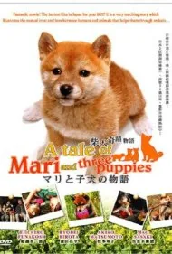 داستان ماری و سه توله‌سگ (A Tale of Mari and Three Puppies)
