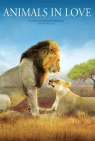 حیوانات عاشق (Animals in Love)