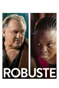 قدرتمند (Robust)