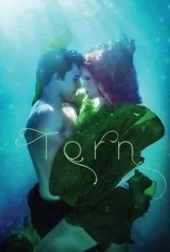 پاره شده: یک سه گانه شرور (Torn: A Wicked Trilogy)