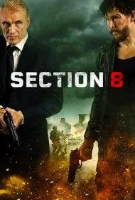 بخش هشتم (Section 8)
