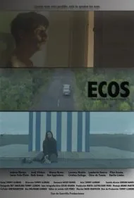 پژواک ها (Echoes)