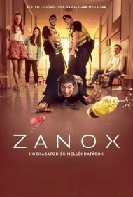زانوکس (Zanox)