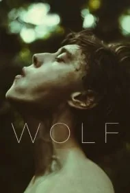 گرگ (Wolf)