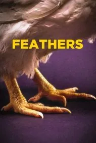 پَرها (Feathers)