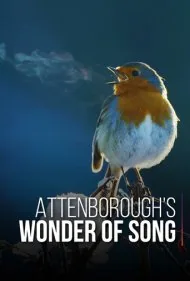 شگفتی آواز با اتنبرو (Attenborough's Wonder of Song)