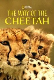 راه و رسم یوزپلنگ (The Way of the Cheetah)